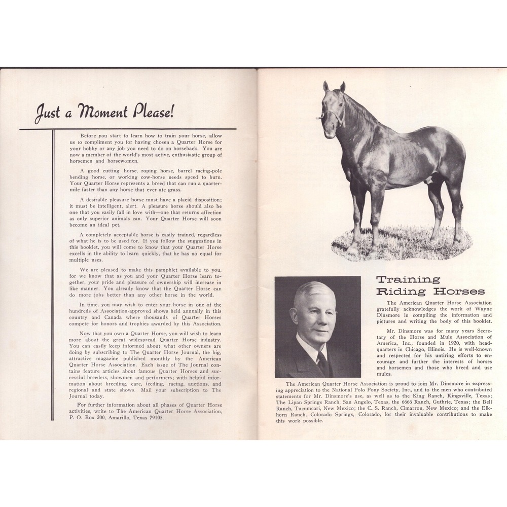 Vintage Training Riding Horses American Quarter Horse Association Booklet - Picture 3 of 4